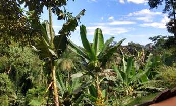 Imagem 2: VENDE-SE UMA LINDA CHÁCARA EM PARATY - RJ
