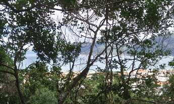 Imagem 2: Terreno no Pantano do sul com vista para o mar