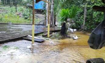 Imagem 2: Sítio 12.500 m², com piscina natural, Ramal do Pau Rosa