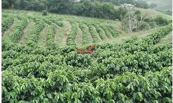 Imagem 5: VIçOSA - Fazenda - Área Rural de Viçosa