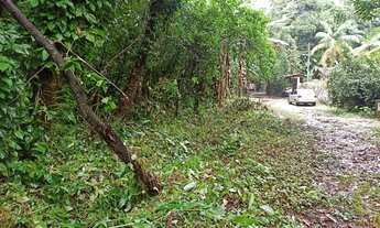 Imagem 6: Terreno em Boiçucanga