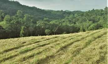 Imagem 3: Terreno para venda possui 1000m² localizado em Mairiporã - SP