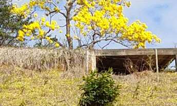 Imagem 5: Fazenda/Fazendinha/Sítio/Chácara 40 Hectares, Pará de Minas / Florestal - MG