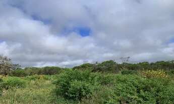 Imagem 3: Terreno na Estrada da Barra