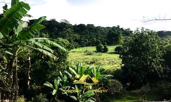 Imagem: Fazendinha produtiva Lazer/Moradia na beira