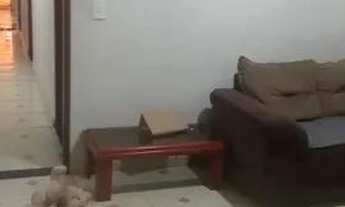 Imagem 3: AN- casa no PAU DA LIMA