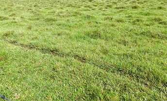 Imagem 2: Vendo terreno 100% plano