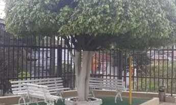 Imagem 2: Apartamento em Vila Marte - São Paulo