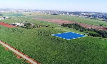 Imagem: Chácara 20.000 m2 - Maringá - Venda ou