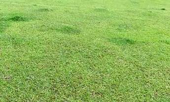 Imagem 7: Vendo terreno 100% plano