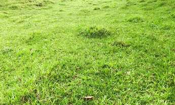 Imagem 5: Vendo terreno para tranquilidade para sua família