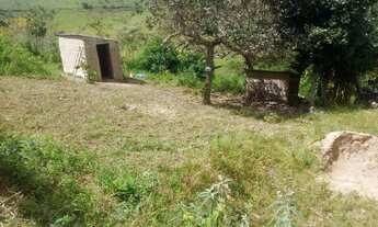 Imagem 3: Chácara em Flexeiras