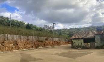 Imagem 4: Fazenda de Café - Arábica - Negócio e Renda