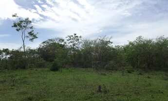 Imagem 6: Terreno Plano em Vendas das Pedras 5.069m²