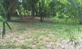 Imagem 2: Terreno em São Gonçalo/ Pacheco