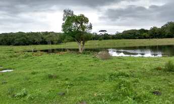 Imagem 5: Terreno cercado 97 hectares