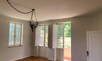 Imagem 3: Amplo 4/4 com excelente localização no Canela