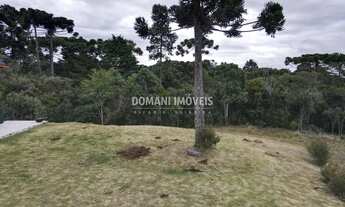 Imagem 5: Magnífico Lote em Condomínio na Região do Alto da Boa Vista - Campos do Jordão/SP