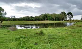 Imagem 6: Terreno cercado 97 hectares