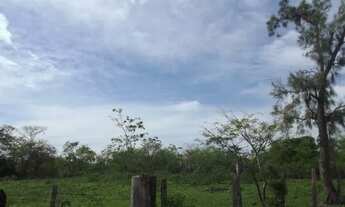 Imagem 3: Terreno Plano em Vendas das Pedras 5.069m²