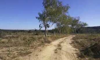 Imagem 5: Citio a venda Terreno / lote com venda por R$70.000