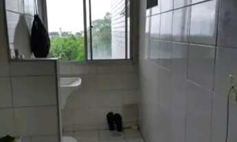 Imagem 7: Fit coqueiro 2 (3/4 c/ modulados