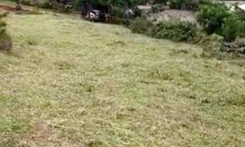 Imagem 2: Terreno à venda, 1000 m² por R$ 150.000,00 - Loteamento Chácaras Gargantilhas - Campinas/S