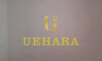 Imagem 3: CASA RESIDENCIAL em SÃO PAULO - SP, CASA VERDE MÉDIA