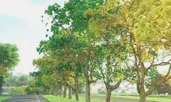 Imagem 2: Fazenda/Sítio/Chácara para venda possui 1076 metros quadrados