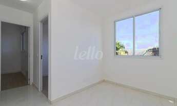 Imagem 2: São Paulo - Apartamento Padrão - Vila Mira