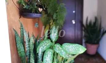 Imagem 6: São Paulo - Casa Padrão - Santo Amaro