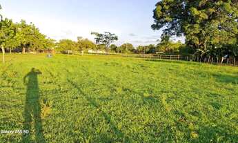 Imagem 5: Belíssimo sítio de 19.9t, com uma boa casa de 4/4 e piscina