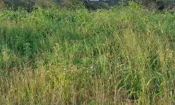 Imagem 7: Terreno frente de rua, no loteamento chacaras havana