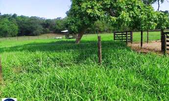 Imagem 5: Fazenda à Venda em Morrinhos (GO) 128 Hectares - Estrutura Completa
