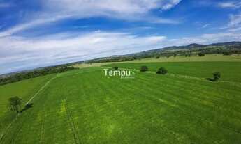 Imagem 7: Fazenda 3 alqueires em Anicuns - Excelente para plantio