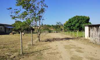 Imagem 7: Ipioca, terreno chácara com 5 mil m2