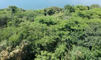 Imagem 2: Rancho Miranda 4 com escritura