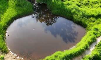 Imagem 5: Fazenda 5 alqueires com 2 águas e pasto formado - 13 km de Formoso-GO - Escuto propostas