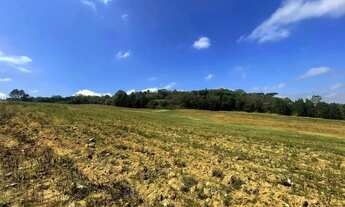 Imagem 2: Dê o passo que falta para sua paz: venha conhecer o campo!