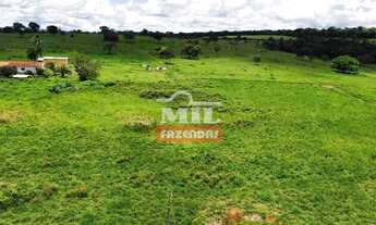 Imagem 7: Chácara 7,3 alqueires (35,33 hectares) Professor Jamil - Go