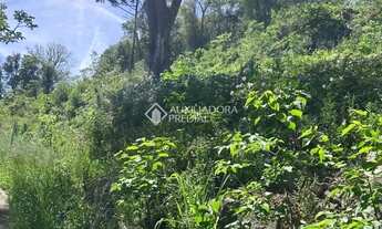 Imagem 5: Loteamento Bosque das Araucárias - Linha Imperial