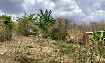 Imagem: Vendo lote no santo amaro