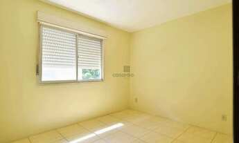 Imagem 5: Apartamento 3 quartos para aluguel Pelotas