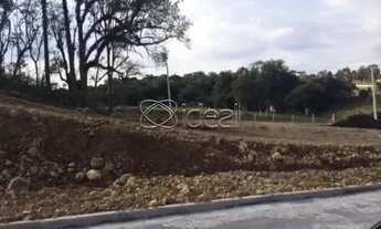 Imagem 6: Terreno 10.000,68m² no Bairro São Ciro/Século XX em Caxias do Sul