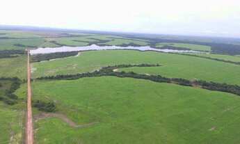 Imagem 5: Fazenda no Tocantins