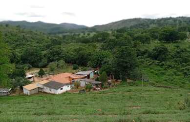 Imagem 2: Fagenda à Venda em Campinaçu