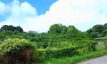 Imagem: CAXIAS DO SUL - Terreno Padrão - NOSSA