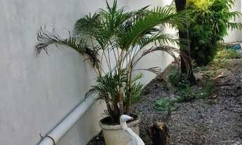 Imagem 5: Casa Venda Neópolis