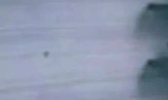 Imagem 3: Apartamento em Rua Januário Zingaro - Jardim Paris - São Paulo/SP