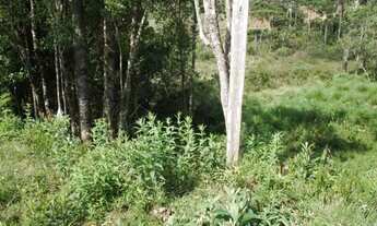 Imagem 2: Lote em Campos do Jordão - Vila Abernéssia - Campos do Jordão/SP